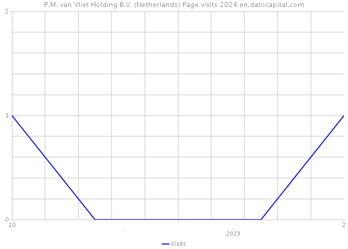 P.M. van Vliet Holding B.V. (Netherlands) Page visits 2024 
