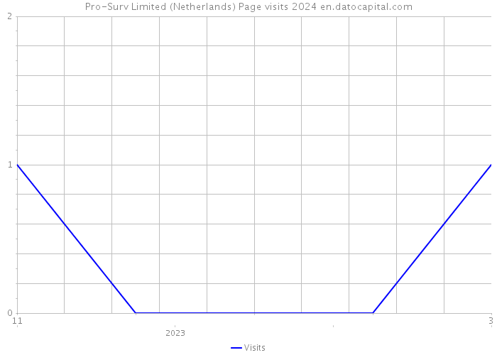 Pro-Surv Limited (Netherlands) Page visits 2024 