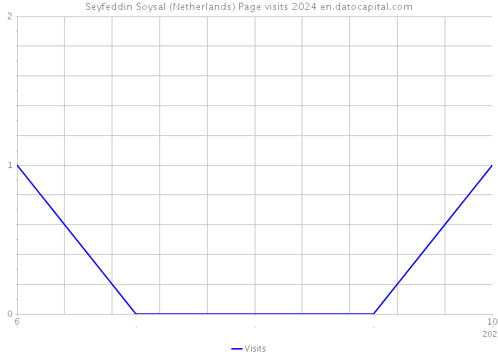 Seyfeddin Soysal (Netherlands) Page visits 2024 