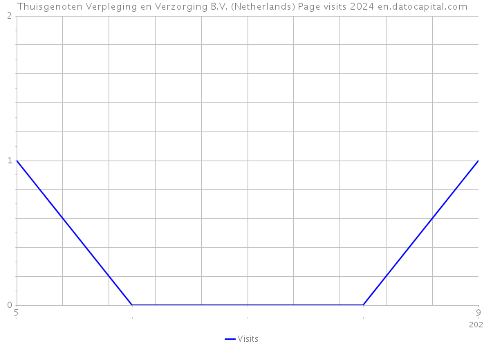 Thuisgenoten Verpleging en Verzorging B.V. (Netherlands) Page visits 2024 