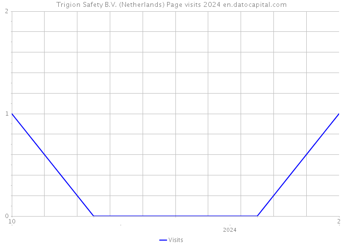 Trigion Safety B.V. (Netherlands) Page visits 2024 
