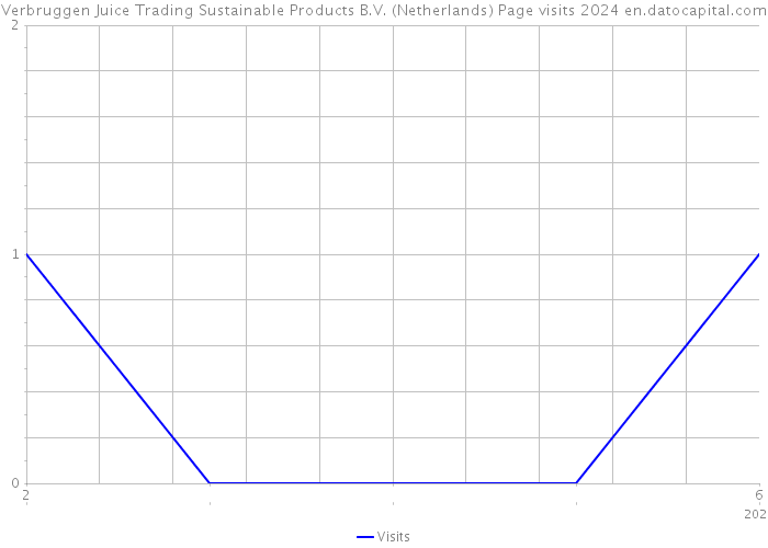 Verbruggen Juice Trading Sustainable Products B.V. (Netherlands) Page visits 2024 