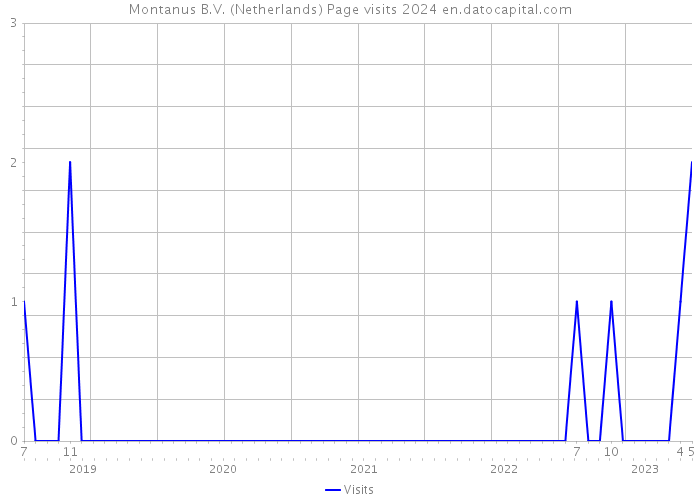 Montanus B.V. (Netherlands) Page visits 2024 