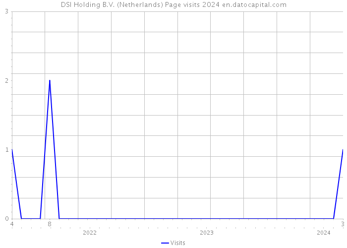 DSI Holding B.V. (Netherlands) Page visits 2024 