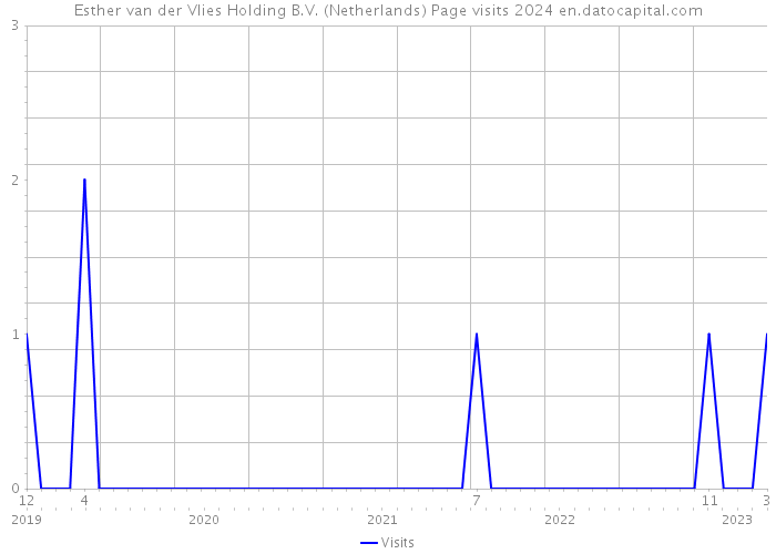 Esther van der Vlies Holding B.V. (Netherlands) Page visits 2024 