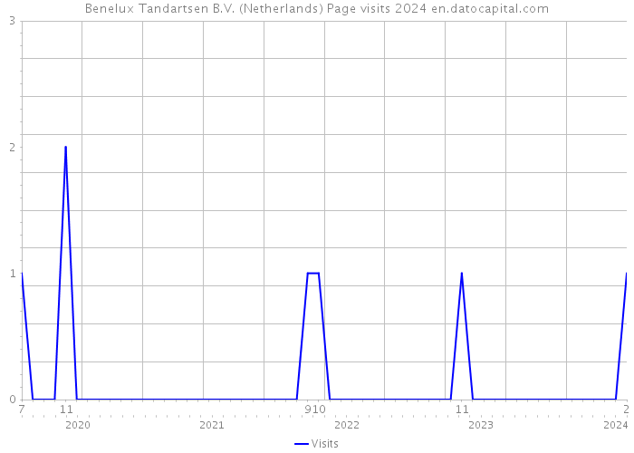 Benelux Tandartsen B.V. (Netherlands) Page visits 2024 