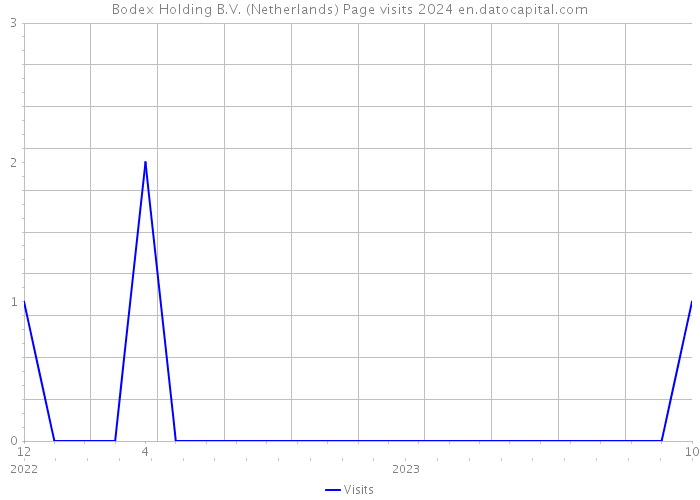 Bodex Holding B.V. (Netherlands) Page visits 2024 