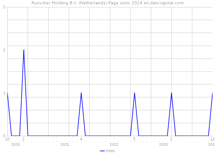 Russcher Holding B.V. (Netherlands) Page visits 2024 