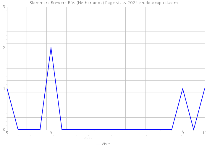 Blommers Brewers B.V. (Netherlands) Page visits 2024 