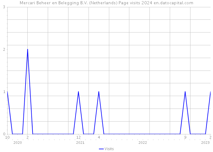 Mercari Beheer en Belegging B.V. (Netherlands) Page visits 2024 