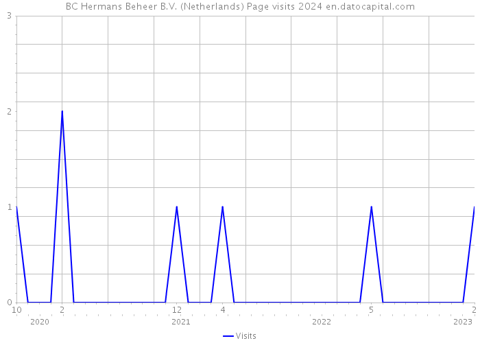 BC Hermans Beheer B.V. (Netherlands) Page visits 2024 