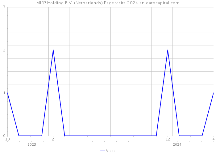 MIR³ Holding B.V. (Netherlands) Page visits 2024 
