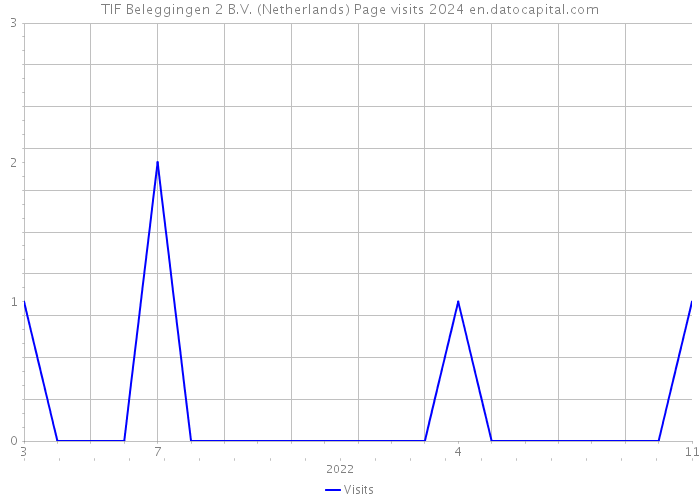 TIF Beleggingen 2 B.V. (Netherlands) Page visits 2024 