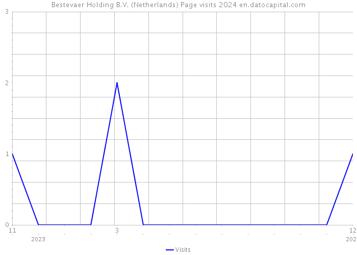 Bestevaer Holding B.V. (Netherlands) Page visits 2024 