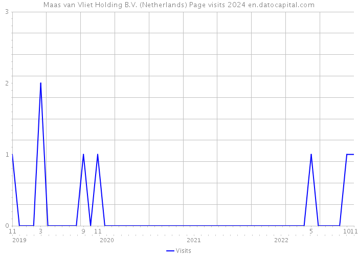 Maas van Vliet Holding B.V. (Netherlands) Page visits 2024 