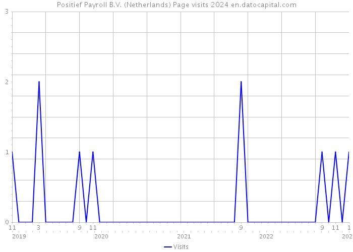 Positief Payroll B.V. (Netherlands) Page visits 2024 