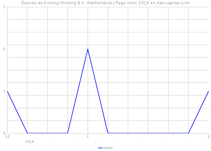 Desirée de Koning Holding B.V. (Netherlands) Page visits 2024 