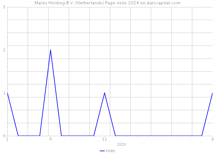 Marks Holding B.V. (Netherlands) Page visits 2024 