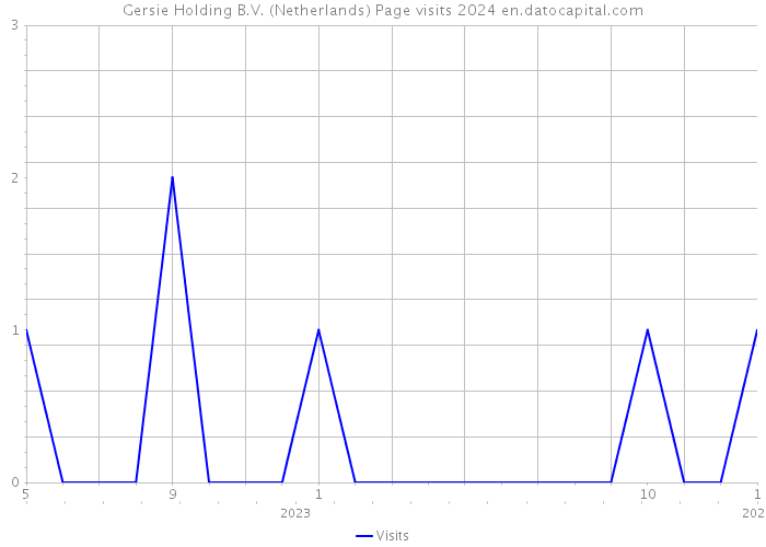 Gersie Holding B.V. (Netherlands) Page visits 2024 