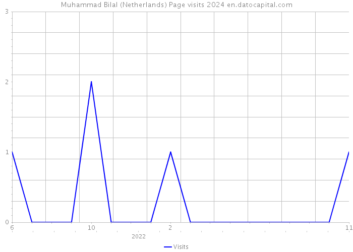 Muhammad Bilal (Netherlands) Page visits 2024 