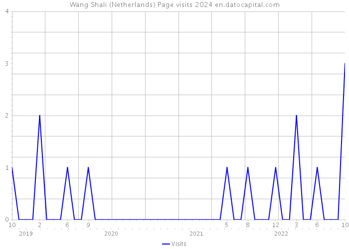 Wang Shali (Netherlands) Page visits 2024 