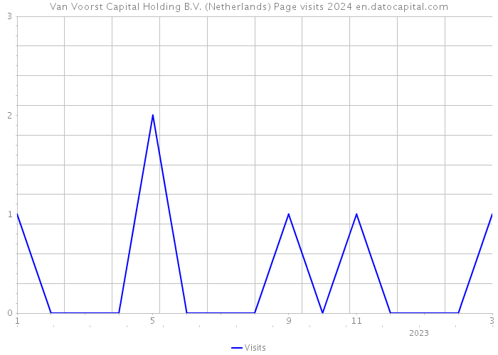 Van Voorst Capital Holding B.V. (Netherlands) Page visits 2024 