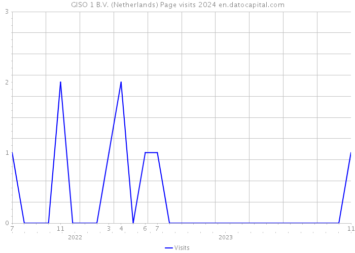 GISO 1 B.V. (Netherlands) Page visits 2024 