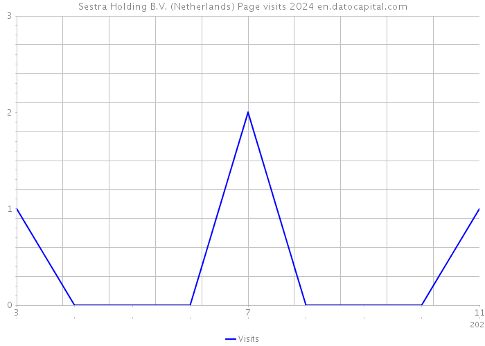 Sestra Holding B.V. (Netherlands) Page visits 2024 