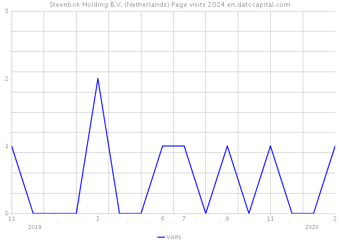 Steenbok Holding B.V. (Netherlands) Page visits 2024 
