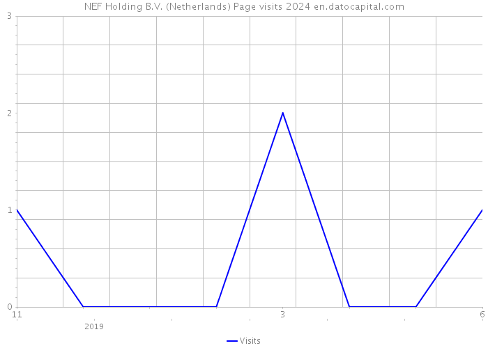 NEF Holding B.V. (Netherlands) Page visits 2024 