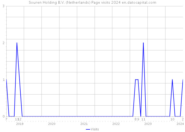 Souren Holding B.V. (Netherlands) Page visits 2024 