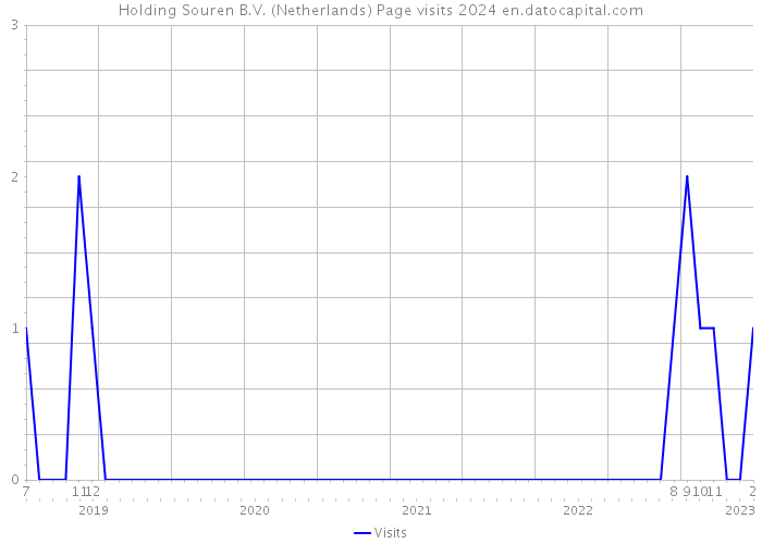 Holding Souren B.V. (Netherlands) Page visits 2024 