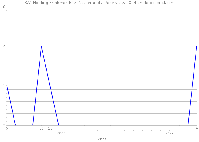 B.V. Holding Brinkman BPV (Netherlands) Page visits 2024 