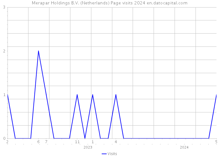 Merapar Holdings B.V. (Netherlands) Page visits 2024 
