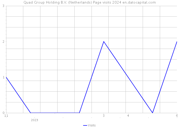 Quad Group Holding B.V. (Netherlands) Page visits 2024 