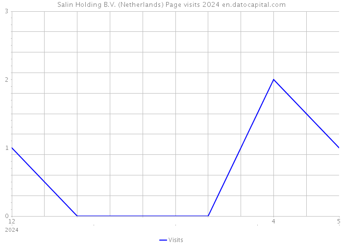 Salin Holding B.V. (Netherlands) Page visits 2024 