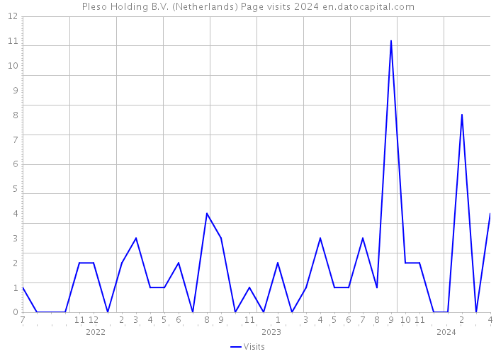 Pleso Holding B.V. (Netherlands) Page visits 2024 