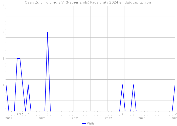 Oasis Zuid Holding B.V. (Netherlands) Page visits 2024 
