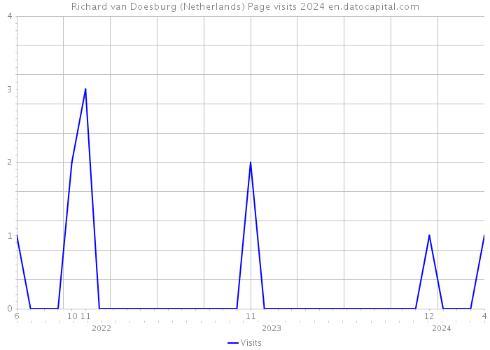 Richard van Doesburg (Netherlands) Page visits 2024 