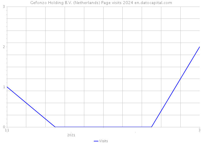 Gefonzo Holding B.V. (Netherlands) Page visits 2024 