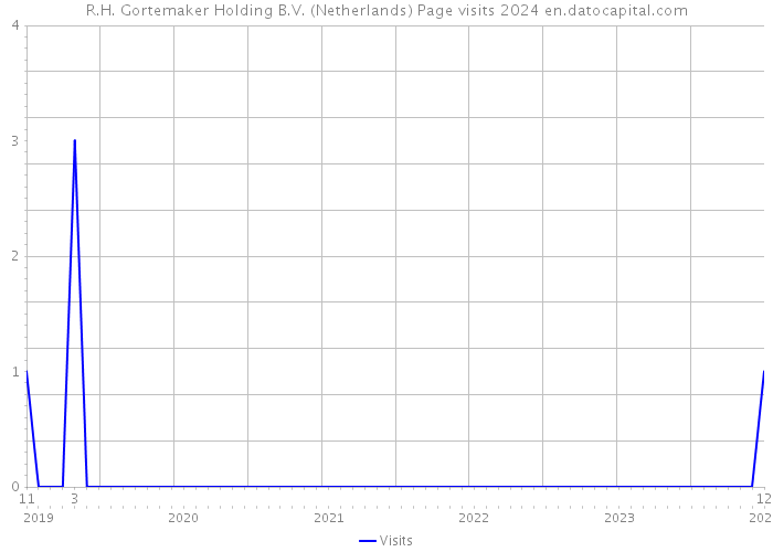 R.H. Gortemaker Holding B.V. (Netherlands) Page visits 2024 