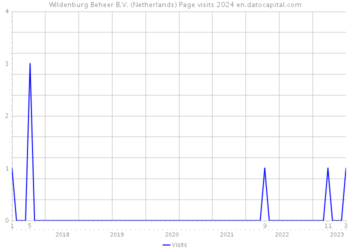 Wildenburg Beheer B.V. (Netherlands) Page visits 2024 