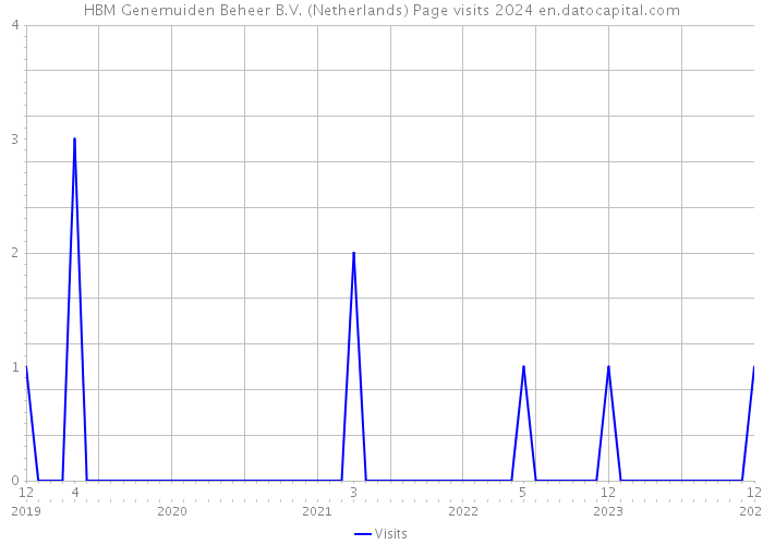 HBM Genemuiden Beheer B.V. (Netherlands) Page visits 2024 