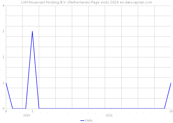 LVH Houwvast Holding B.V. (Netherlands) Page visits 2024 