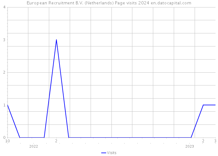 European Recruitment B.V. (Netherlands) Page visits 2024 