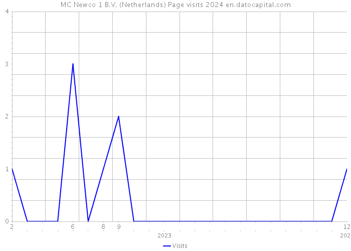 MC Newco 1 B.V. (Netherlands) Page visits 2024 