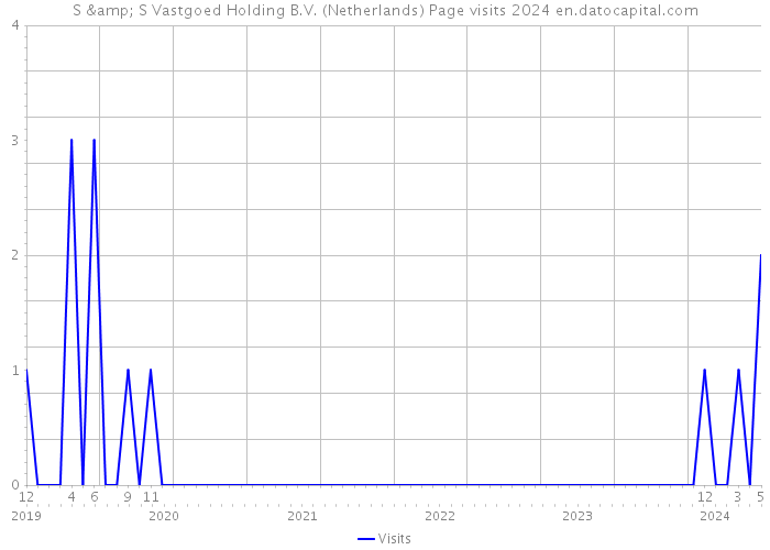 S & S Vastgoed Holding B.V. (Netherlands) Page visits 2024 