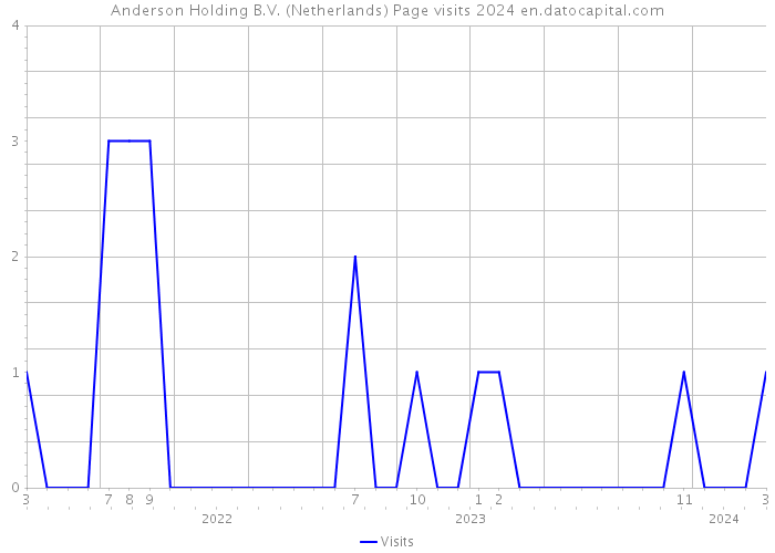 Anderson Holding B.V. (Netherlands) Page visits 2024 
