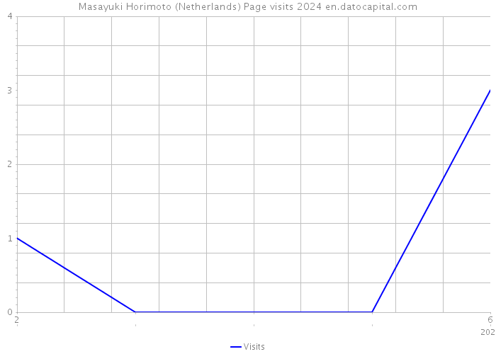 Masayuki Horimoto (Netherlands) Page visits 2024 