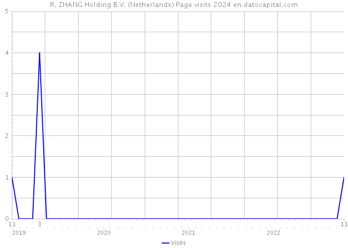 R. ZHANG Holding B.V. (Netherlands) Page visits 2024 